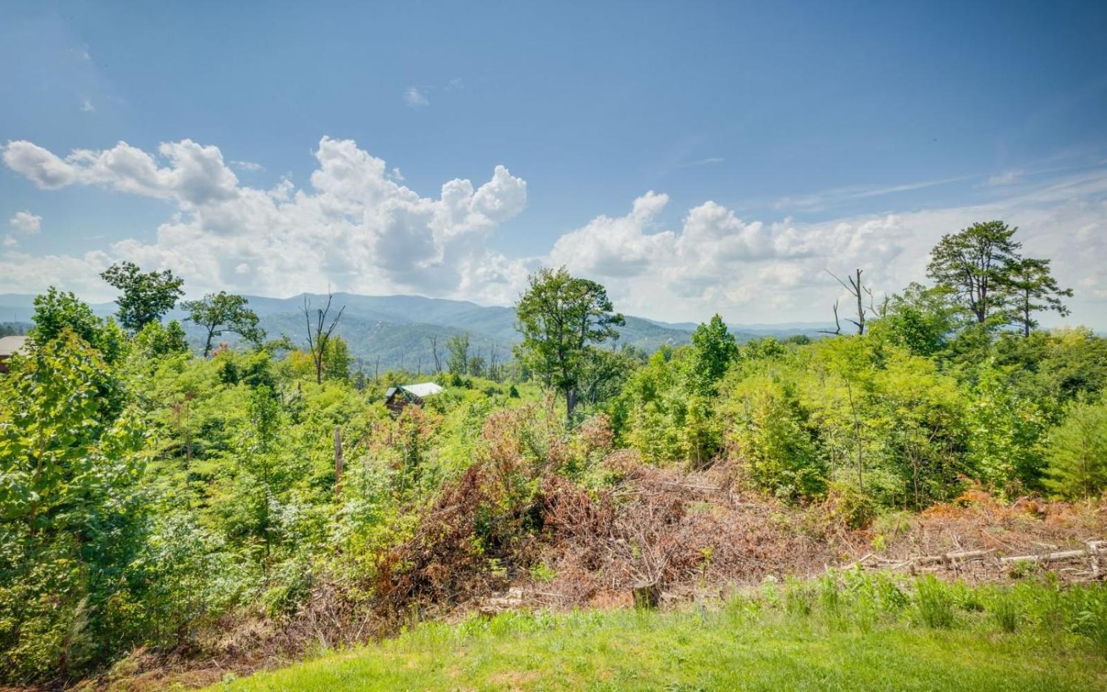 Lifes A Bear Villa Gatlinburg Buitenkant foto
