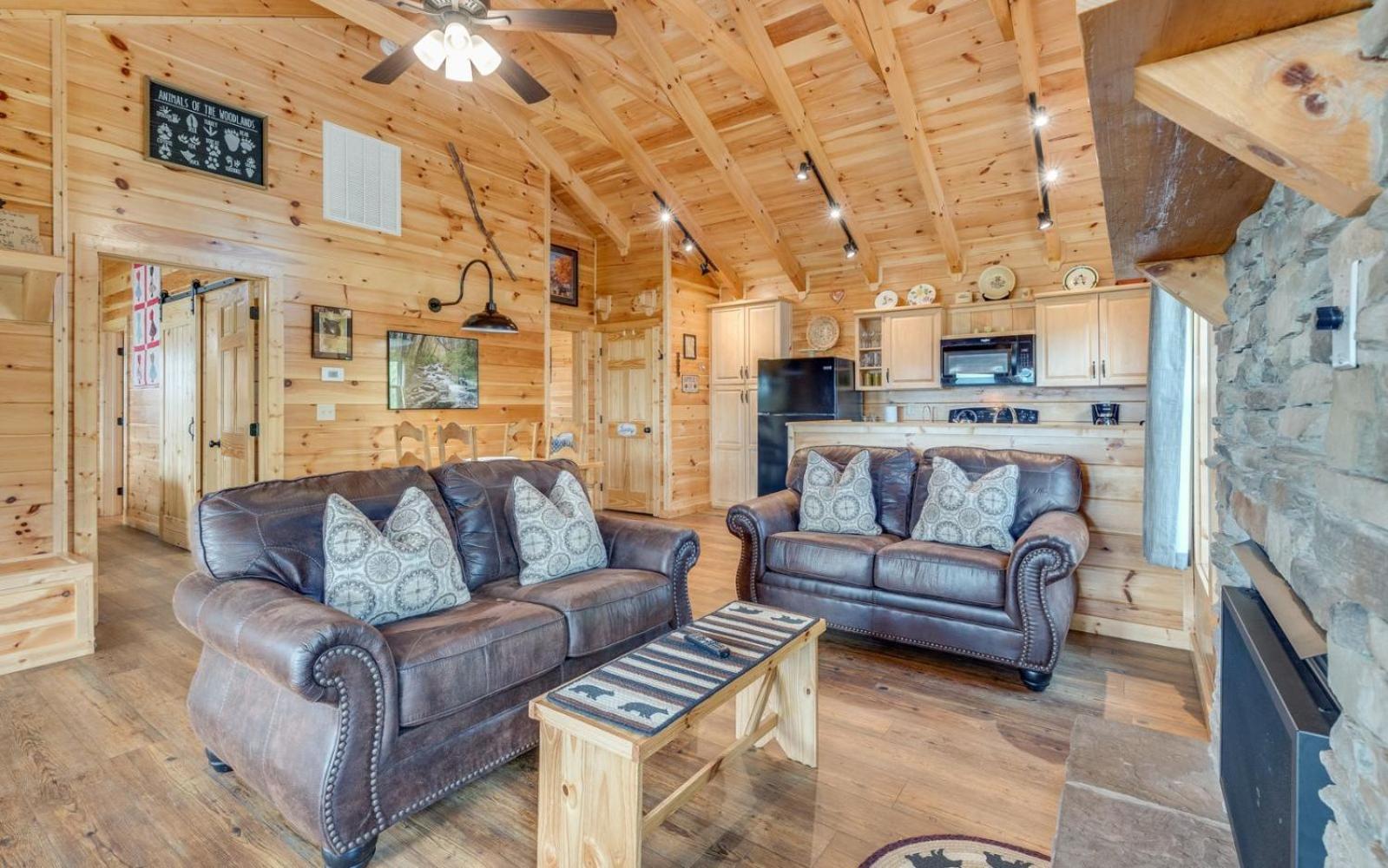 Lifes A Bear Villa Gatlinburg Buitenkant foto
